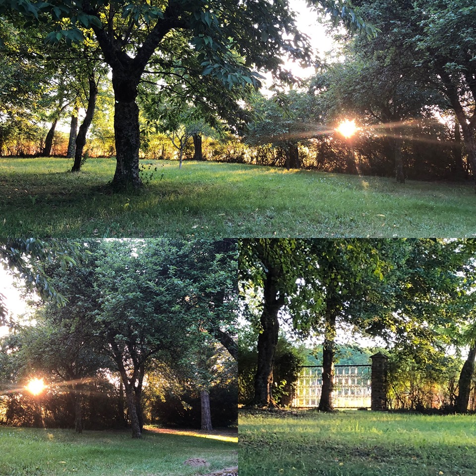 Lever de soleil Juin 2019.jpg